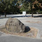 善福寺川沿いに広がる広大な緑地