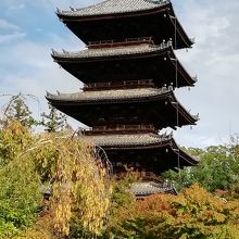 青空に映え美しさが一層際立ちます