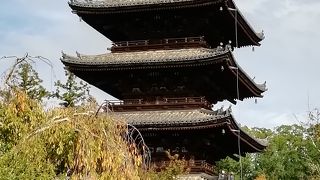 いつまでも見ていたい美しさです