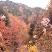 10月下旬辺り紅葉の厚沢部山中の小渓谷