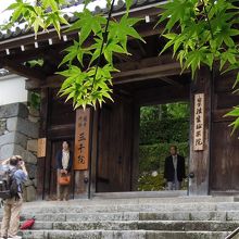 新緑との共演が美しい