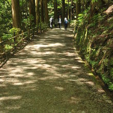 山道のような参道だ