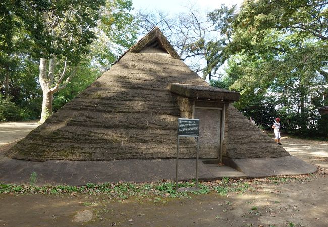 復元住居を見学しました