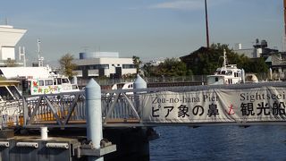 象がいたわけではない