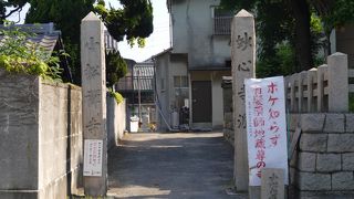 こじんまりとしたお寺。