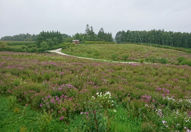 あまり聞きなれない花の公園