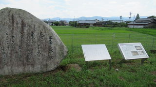 のどかな風景なのよぉー