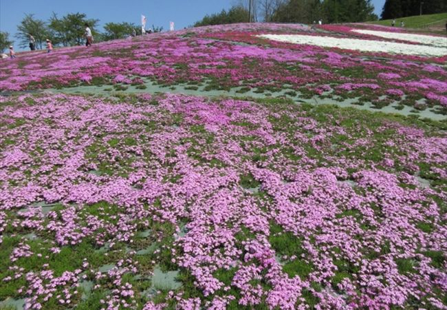 大森公園