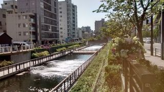 流れる川のきれいさ