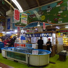 イカ釣り堀です。