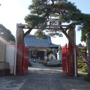 見どころが多い赤門のお寺