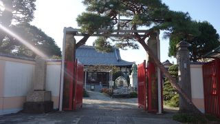 見どころが多い赤門のお寺