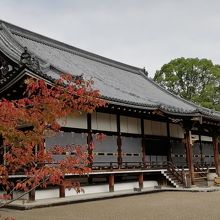 斜めから見ても美しいお堂です