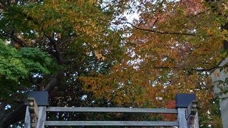 訪れるなら明るいうちに