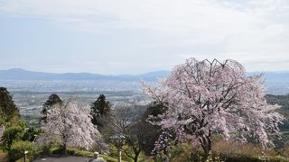 眺望が素晴らしい