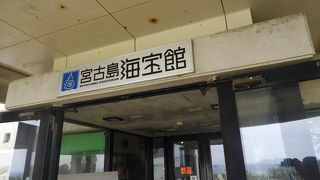 貝がすきでないと