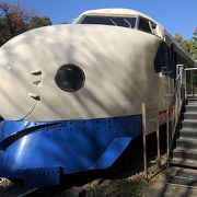 コスパがとても良い、電車好きに嬉しい公園