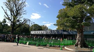 上野の動物園はぐるっとパスを使えば、周りの美術館や博物館も行けますよ