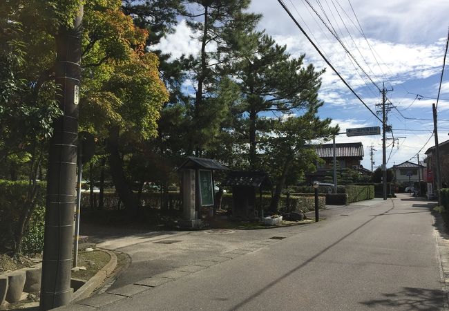 森の中へと誘う