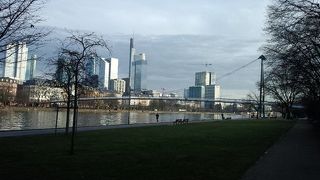 朝の散策は、とても清々しかったです。