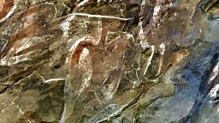 アナ カイ タンガタ