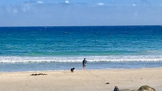 このビーチから人類が上陸しました！