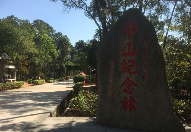 中正公園 中正記念林