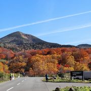 紅葉の絶景