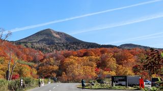 紅葉の絶景