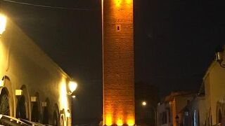 ライトアップした姿が幻想的