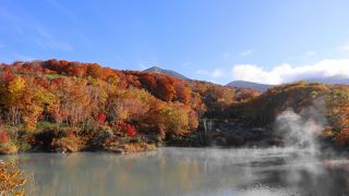 紅葉と沼