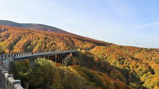 紅葉の大パノラマ