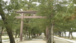 出雲大社の参道