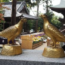 八幡さまゆかりの鳩は、黄金。