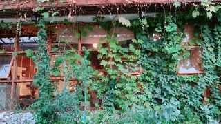 感度が高いカフェ