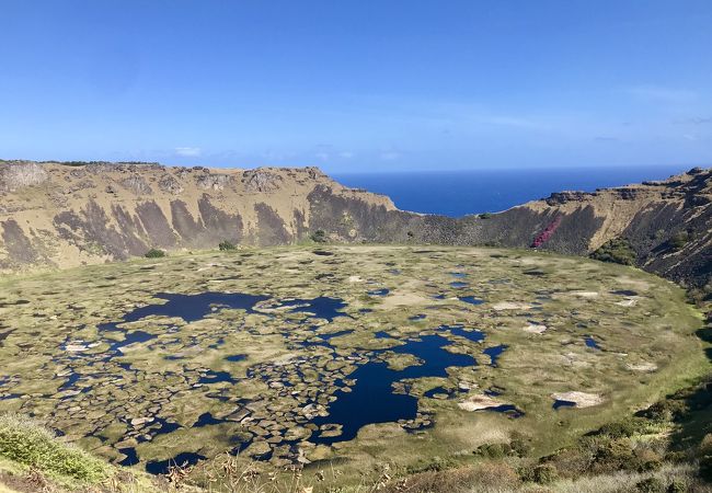 イースター島＝モアイだけじゃない！