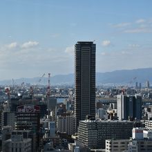 店内からの眺め