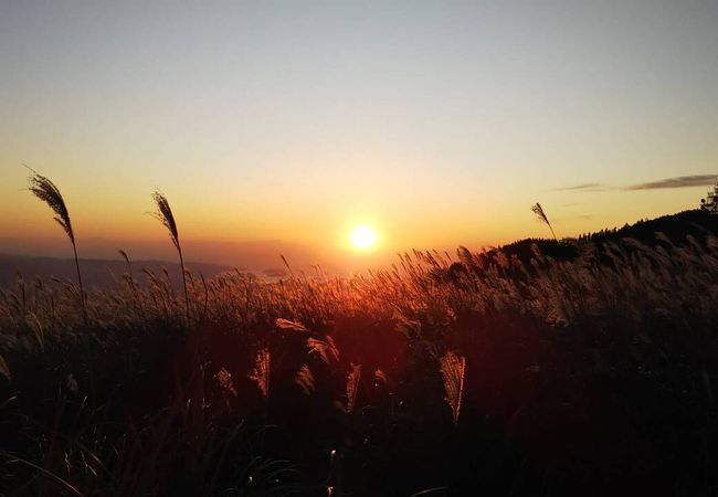 生石高原 クチコミ アクセス 営業時間 岩出 紀の川 フォートラベル 生石高原 クチコミ アクセス 営業時間 岩出 紀の川 フォートラベル