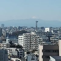 富士山も見えました