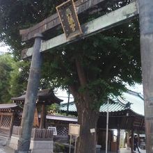 鳥居の様子です。