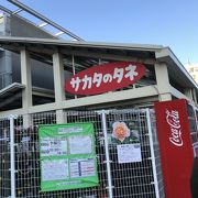 ガーデンセンター横浜 クチコミ アクセス 営業時間 東神奈川 保土ヶ谷 弘明寺 フォートラベル ガーデンセンター横浜 クチコミ アクセス 営業時間 東神奈川 保土ヶ谷 弘明寺 フォートラベル