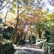 参道は長い登り坂