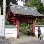 隠れたモミジの寺