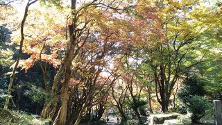 参道は長い登り坂