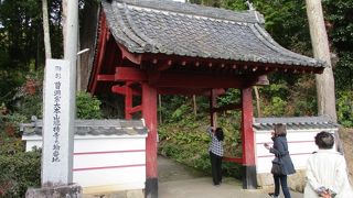 隠れたモミジの寺