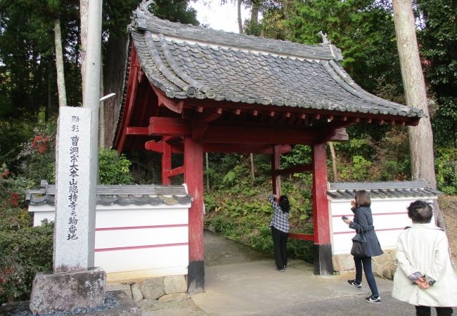 隠れたモミジの寺