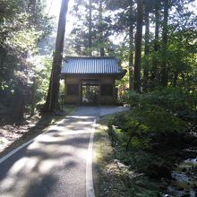 鰐淵寺参道