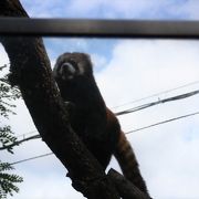 大阪市内にある唯一の動物園