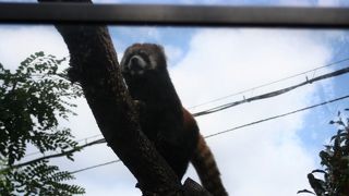 大阪市内にある唯一の動物園