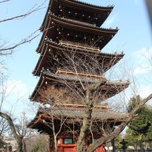 東照宮参道のから見た五重塔